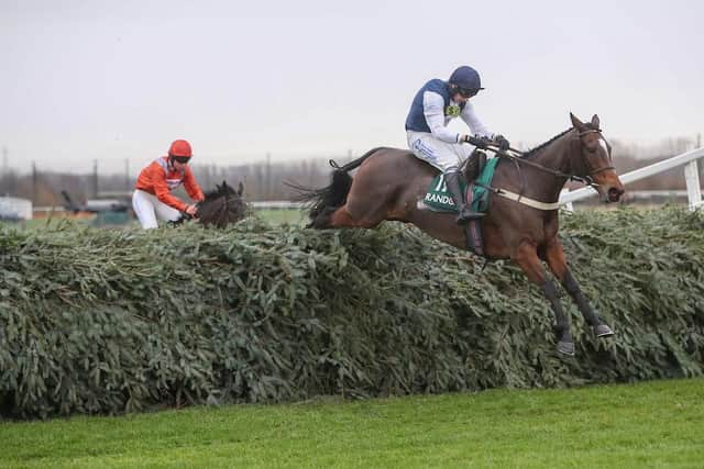 Walk In The Mill, one of the leading fancies for this year's National, in action over the Aintree fences.