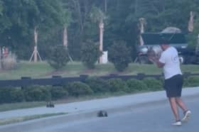 Brian Surguy is attacked by a protective mother duck while trying to help her ducklings.