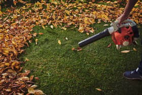 The best cordless leaf blowers 2021