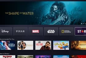 Does the new Star add-on make signing up to Disney + worth it?