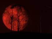 A red full moon. Image: kmls - stock.adobe.com