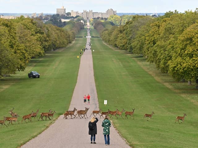 King Charles III is making some major changes to make Windsor Castle more environmentally friendly.