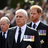 Prince Andrew and Prince Harry