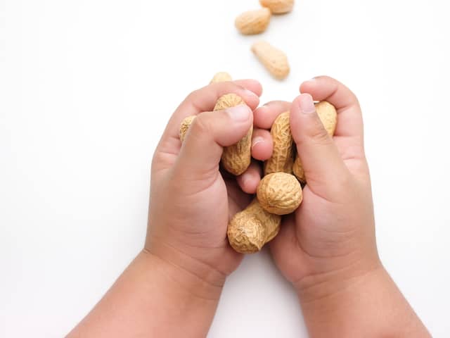 Palforzia, an oral drug, appears to reduce the risk of harm when a peanut allergy sufferer comes into contact with the foodstuff (image: Shutterstock)