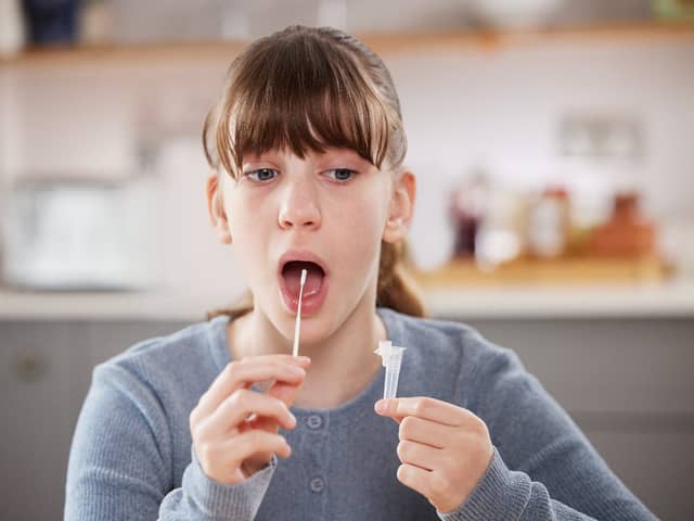 Lateral flow home test kits are currently unavailable on the government website. (Pic: Shutterstock)