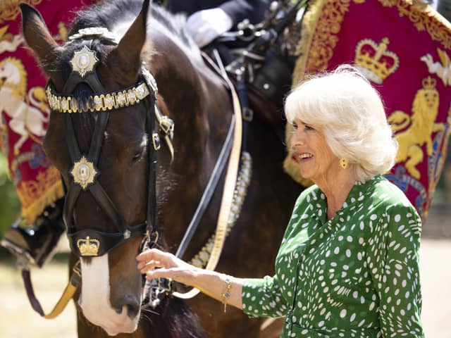 Queen Camilla with Juno, the first mare to be a Household Cavalry Drum Horse (Credit: Royal.uk)