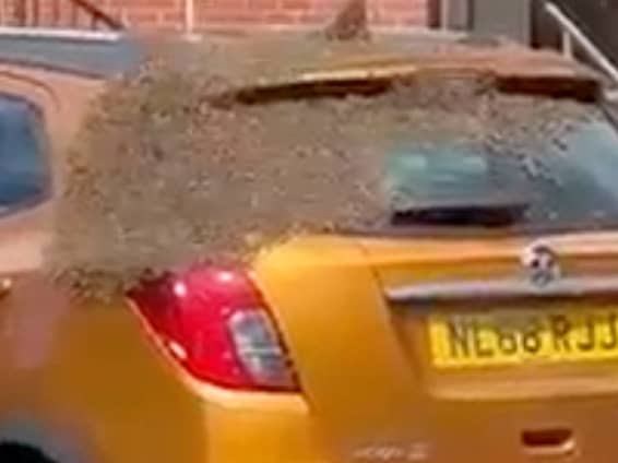  A three-day-old car was swarmed by thousands of bees, leaving its owner stunned. (SWNS)