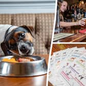 The Bellflower in Preston, Lancashire, won the accolade of the official best pub for dogs in the UK