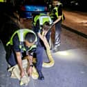 Cops received a call from a member of the public that a 12 foot yellow python was slithering on Harwood Street, West Bromwich.  
