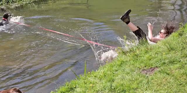 Woman is dragged into river while playing with her excited dog.