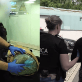 NCA seize cannabis hauls at UK airports and arrest smugglers.