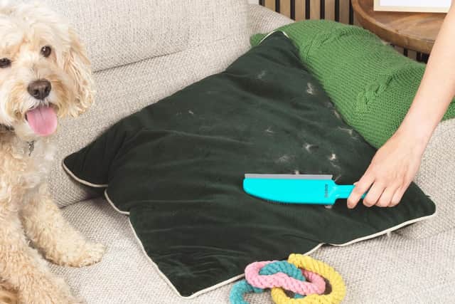 The upholstery brush worked well on dog beds and cushions