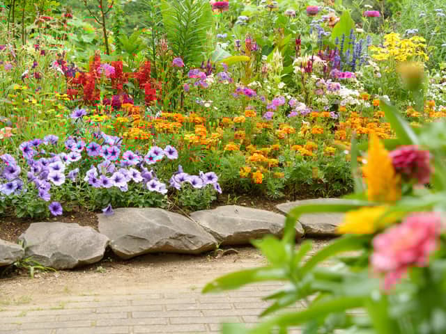 A poll of 2,000 adults revealed the quirkier strategies those who garden adopt to help their plants grow - including throwing teabags onto the soil