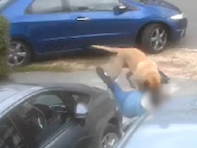 A video captured an attack by dog in Dagnam Crescent, Arbourthorne. Picture: South Yorkshire Police