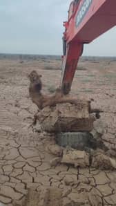 Video grab as a camel was rescued from being stuck in mud in the middle of a desert using an excavator.