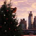 An ultra-realistic animatronic orangutan climbs a 20ft Christmas Tree at Coin Street Observation Point, London to highlight the threat to the survival of the species due to deforestation caused by palm-oil production, following Iceland's Christmas advert being banned.