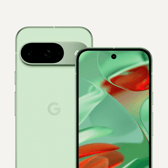 The Google Pixel 9