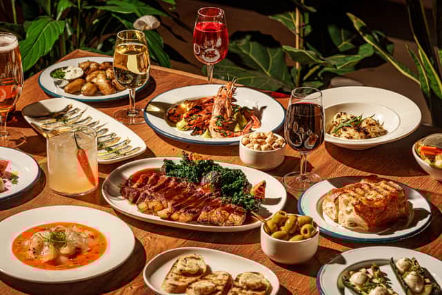 Some of the amazing Italian dishes on offer at Alfi.