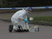 A 49-year-old man has been arrested on suspicion of murdering two women, injuring others and killing a dog on Christmas Day. 