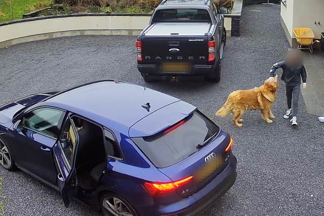 Hilarity ensues as pooch steals turkey crown from car in Armagh, Northern Ireland, leading to a game of chase which ended in woman leaving empty handed as crafty canine refused to give up the bird.
