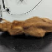 Staffordshire Bull Terrier Mo was left starving and in pain for months.
