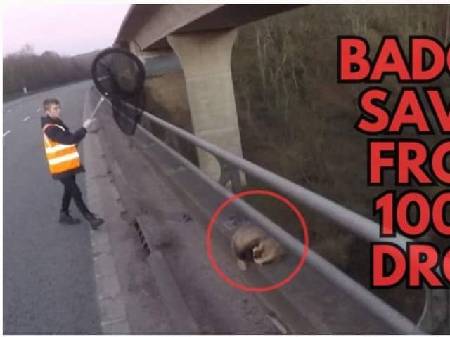 A person preparing to rescue a badger from a 100 metre drop
