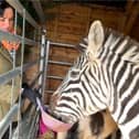 Bev Griffiths and Ziggy the zebra.