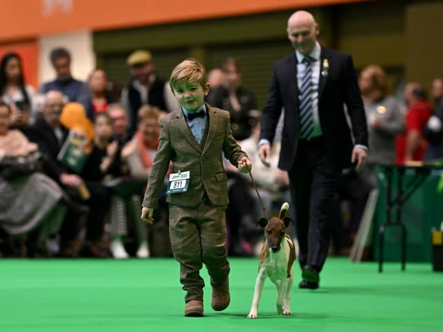 Crufts youngest dog handler Freddie Osborne