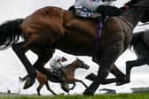 Cheltenham 2025 is live on ITV 