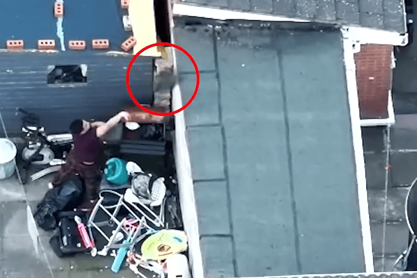 Drug dealer lobs bin bag of heroin over fence during police raid