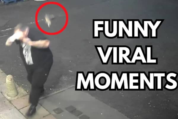Thumbnail image for Caught on Camera Viral moments 2 episode