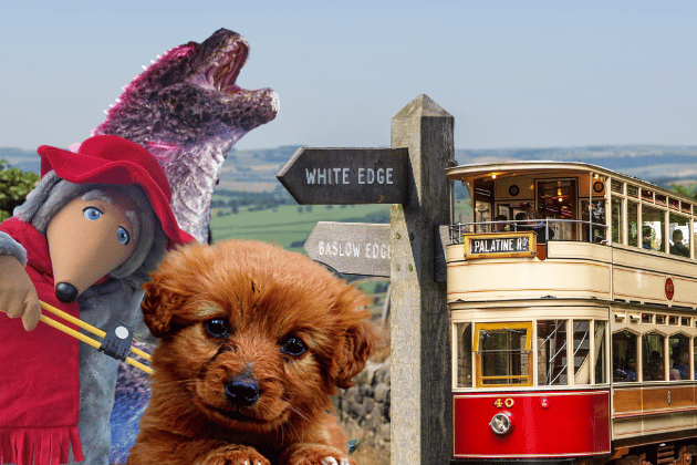 From Dog Festivals to the Wombles spending time away from Wimbledon Common; here's 21 family friendly activities in Derbyshire you could check out during the summer holidays.