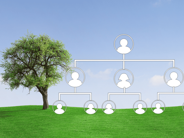 Your family tree could be bigger than you ever imagined — and DNA testing can help you trace its many branches.