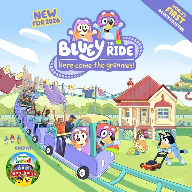 The new ride opens on March 28, and tickets are on sale now