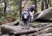 Police  are appealing for information following an incident of criminal damage involving graffiti at a Peak District beauty spot.