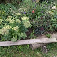 Community-led projects to tackle climate change and aid nature recovery across the High Peak receive grants