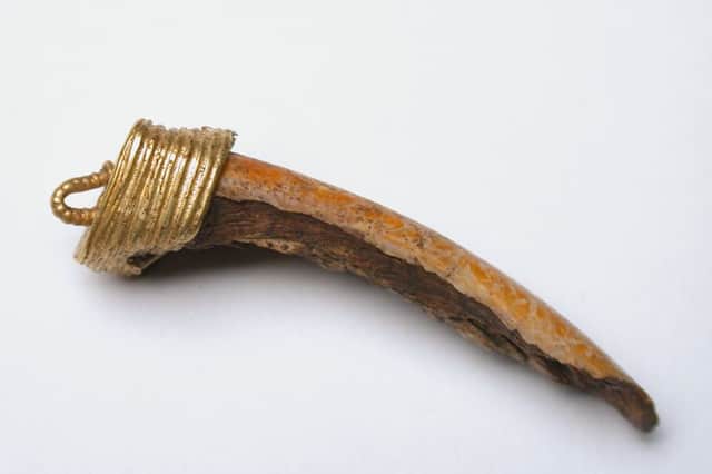 Gold-bound beaver-tooth pendant from the Wigber Low cemetery
