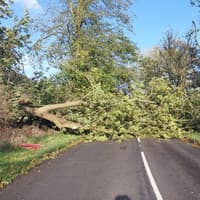 Police warning after strong winds bring down trees into Peak District roads