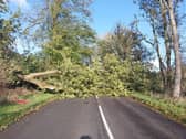 Strong winds saw a number of trees fall into roads across Derbyshire and the Peak District