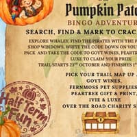Pirates take over Whaley Bridge for family pumpkin trail this half-term