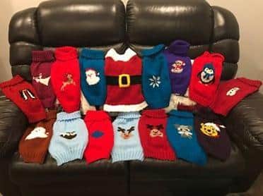 Jennifer's 30 jumpers will go into an auction this weekend along with winter woollies for pups that have been created by supporters all over the country.