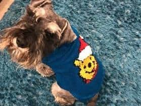 Rupert models one of the festive woolies.