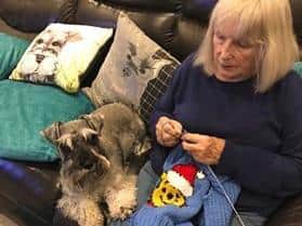 Jennifer Brenna, 70, has spent four months making Christmas jumpers for mini Schnauzers.