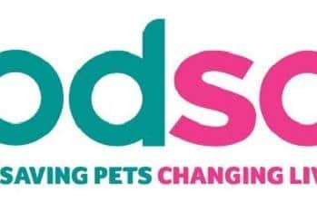 PDSA logo