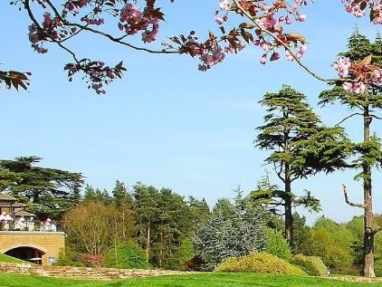 The UK Government has announced that golf will be able to resume in England on Wednesday May 13, 2020.
The course will be re-open for play from 7.00am on Wednesday May 13, 2020 with social distancing and play safe guidelines being adhered to, for members only, as the clubhouse, halfway house and practice ground will remain closed. 
During these very fluid times we will be monitoring the situation on a daily basis and will update the website with any amendments/changes to the above.