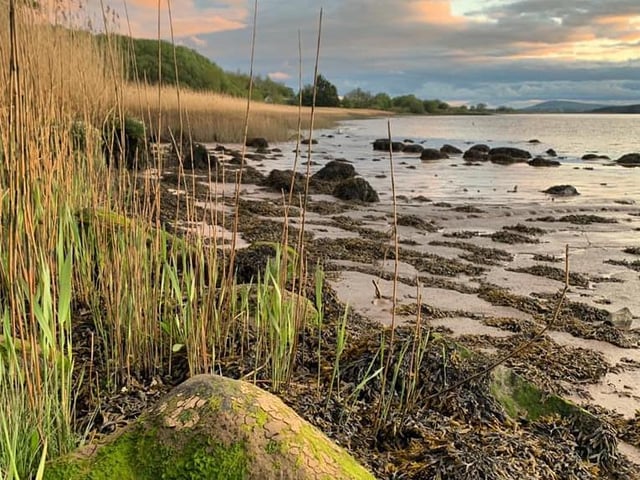 Sarah Cowan: "Solo sunset danders - would have been lost without a little daily fresh air and nature fix".