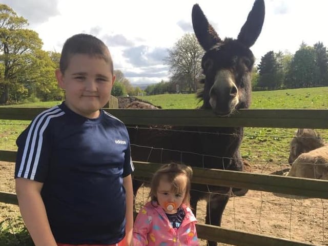 Steph Mcdaid McIntyre: "Down feeding the horses and donkeys and fresh air for the kiddies".