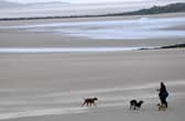 Which beaches made the cut at the Blue Flag awards 2023