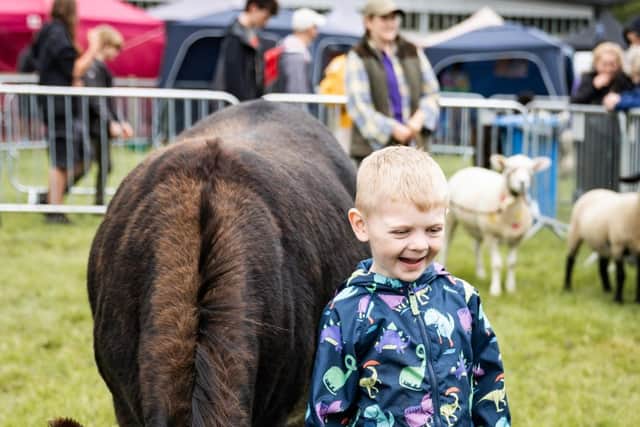Children can get up close to the animals at Bakewell Country Festival (photo: Adam Elijah Sendall)
