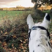 Anita Marsh on her Appaloosa, Sully.